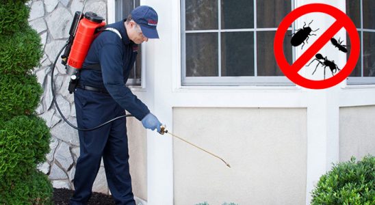 Özalp Böcek ve Haşere İlaçlama böcek ilaçlama ve haşere kontrolü — ilaclama-tr.com